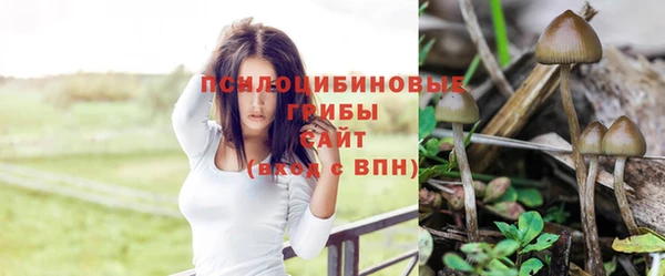 гашиш Алзамай