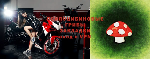 тгк Алексин